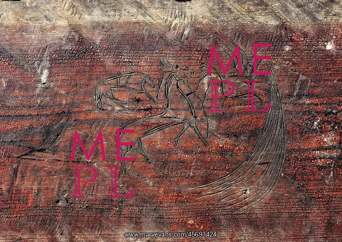 : Graffiti, Saga Oseberg, Vikingodden, Tonsberg, Vestfold : Graffiti, Saga Oseberg, Vikingodden, Tonsberg, Vestfold