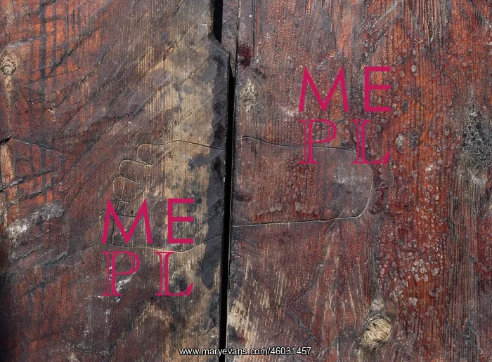 : Graffiti, Saga Oseberg, Vikingodden, Tonsberg, Vestfold : Graffiti, Saga Oseberg, Vikingodden, Tonsberg, Vestfold