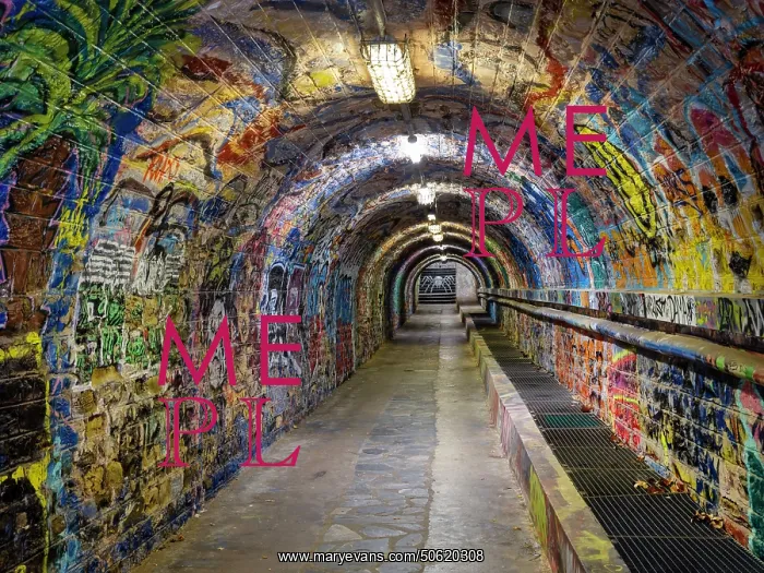 : Graffiti, Tunnel, Cerbere, Pyrenees-Orientales, France : Graffiti, Tunnel, Cerbere, Pyrenees-Orientales, France