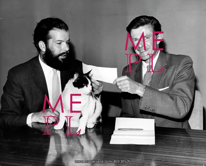 : Grahame Dangerfield : Grahame Dangerfield