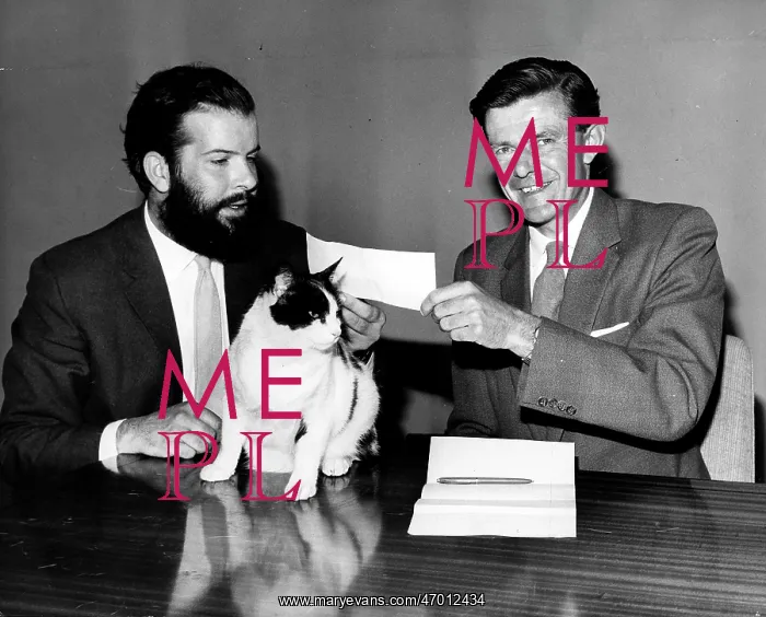 : Grahame Dangerfield : Grahame Dangerfield