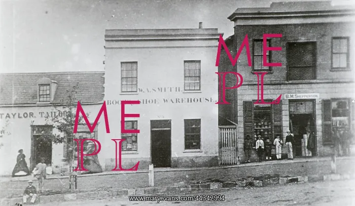 : Grahamstown: Bathurst Street ca. 1868 (West) : Grahamstown: Bathurst Street ca. 1868 (West)