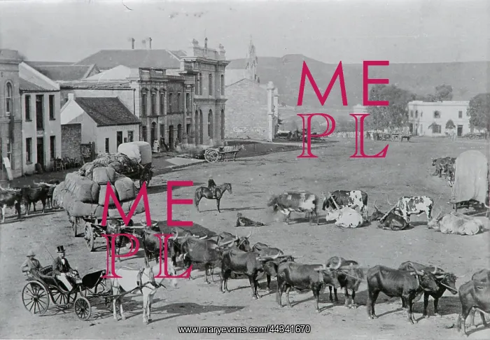 : Grahamstown: Church Square, ca. 1875 : Grahamstown: Church Square, ca. 1875