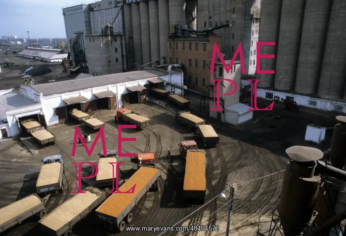 : Grain carriage to elevator, 1983 : Grain carriage to elevator, 1983