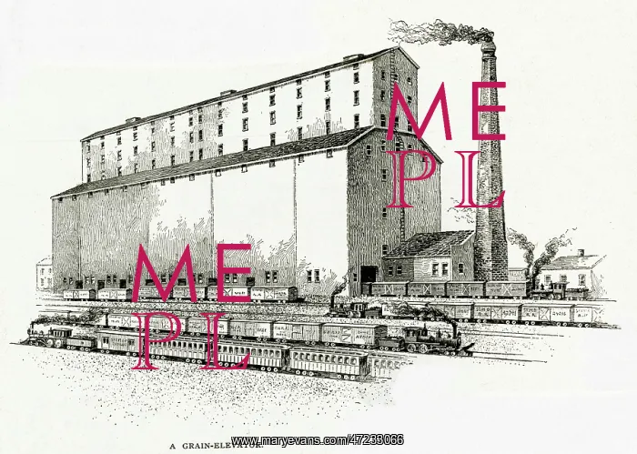  : GRAIN ELEVATOR