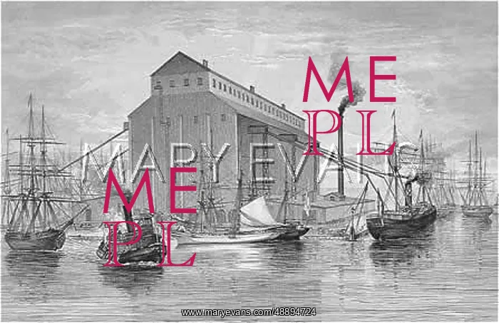 : GRAIN ELEVATOR / USA / 1876 : GRAIN ELEVATOR / USA / 1876