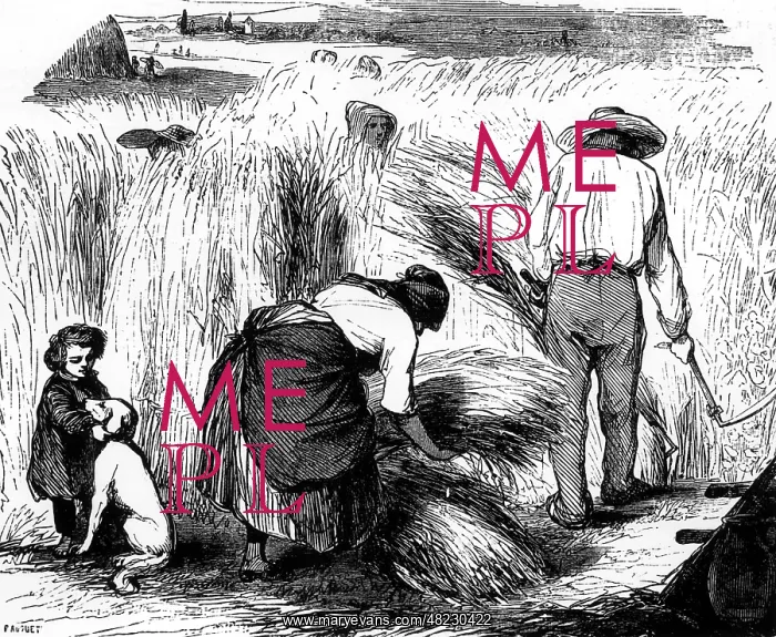 : Grain harvest in 1848 : Grain harvest in 1848