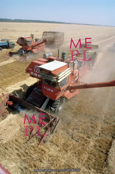 : Grain harvesting, 1979 : Grain harvesting, 1979