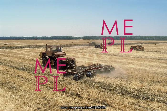 : Grain harvesting, 1979 : Grain harvesting, 1979