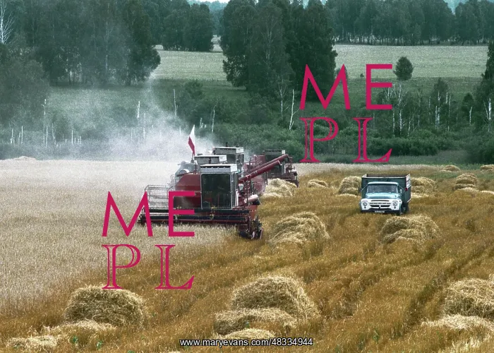 : Grain harvesting, 2001 : Grain harvesting, 2001