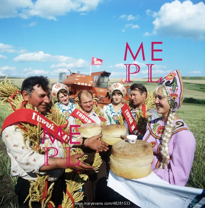 : Grain harvesting in Altai, 1981 : Grain harvesting in Altai, 1981