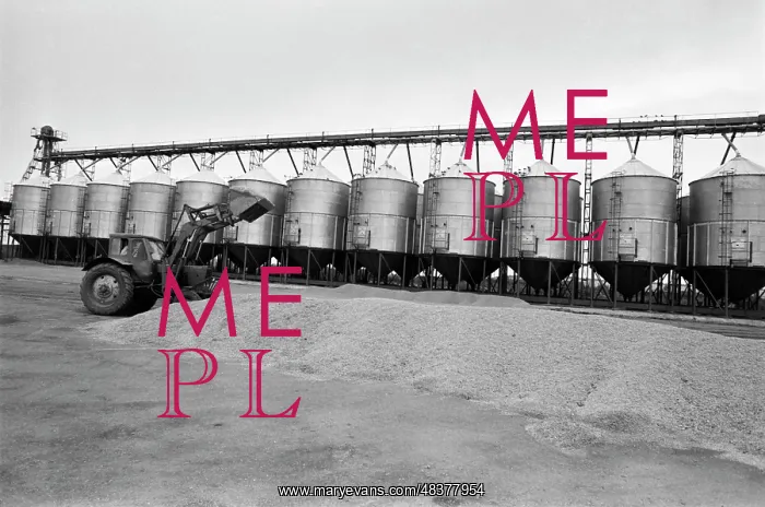 : Grain procurement enterprise : Grain procurement enterprise