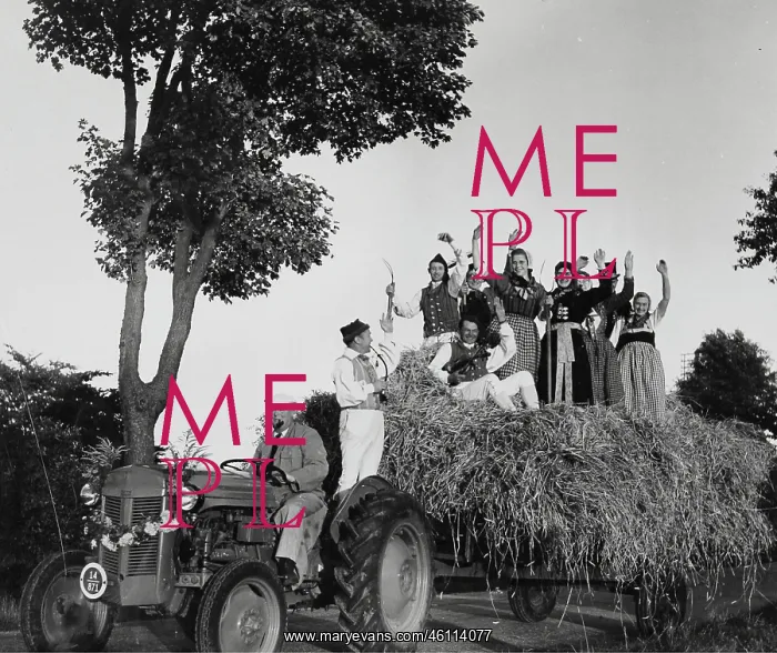 : Graincrop in Denmark. About 1965. Photograph : Graincrop in Denmark. About 1965. Photograph