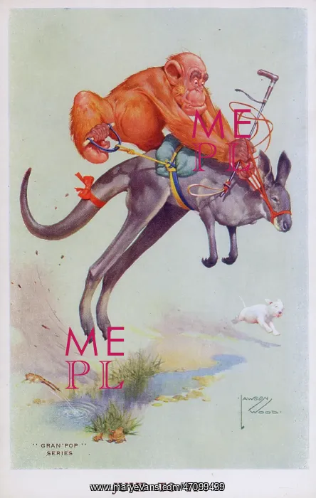 : Gran pop the orangutan monkey riding a Kangaroo : Gran pop the orangutan monkey riding a Kangaroo
