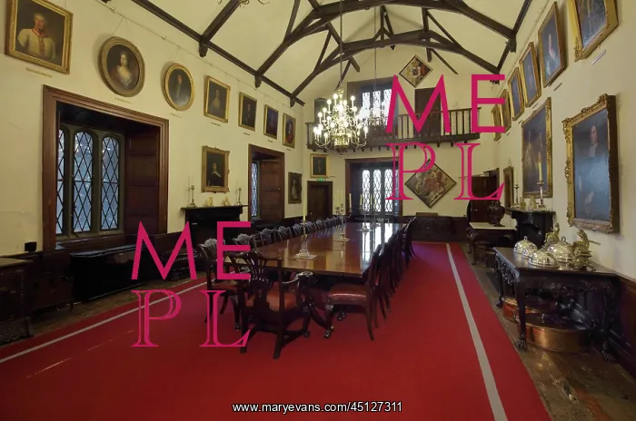 : Grand Hall, Malahide Castle, County Dublin, Ireland : Grand Hall, Malahide Castle, County Dublin, Ireland