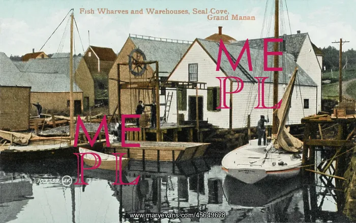 : Grand Manan Island, Canada : Grand Manan Island, Canada