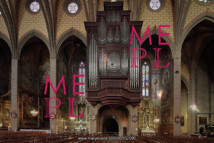 : Grand Organ, Perpignan Cathedral, Pyrenees-Orientales : Grand Organ, Perpignan Cathedral, Pyrenees-Orientales
