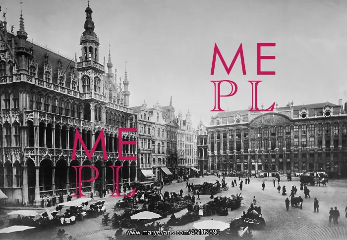 : The Grand Place in Brussels, 1914 : The Grand Place in Brussels, 1914