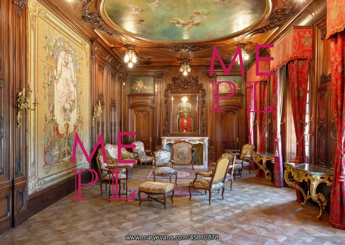 : Grand Salon, Chateau d'Avignon, Saintes-Maries-de-la-Mer : Grand Salon, Chateau d'Avignon, Saintes-Maries-de-la-Mer