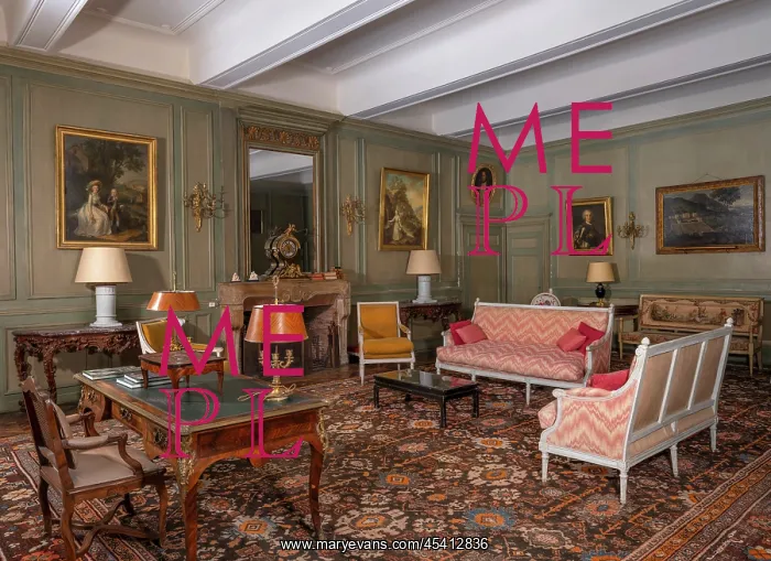 : Grand Salon, Chateau de la Chaize, Odenas, Rhone, France : Grand Salon, Chateau de la Chaize, Odenas, Rhone, France