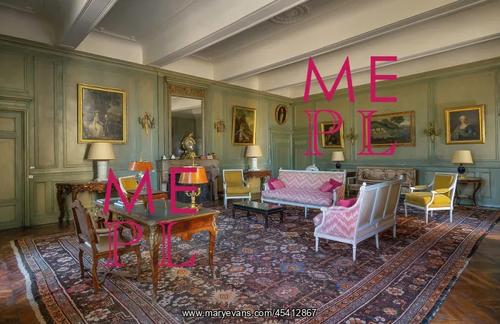 : Grand Salon, Chateau de la Chaize, Odenas, Rhone, France : Grand Salon, Chateau de la Chaize, Odenas, Rhone, France