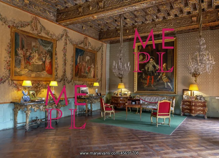 : Grand Salon Dore, Chateau de Brissac, Brissac Loire Aubance : Grand Salon Dore, Chateau de Brissac, Brissac Loire Aubance