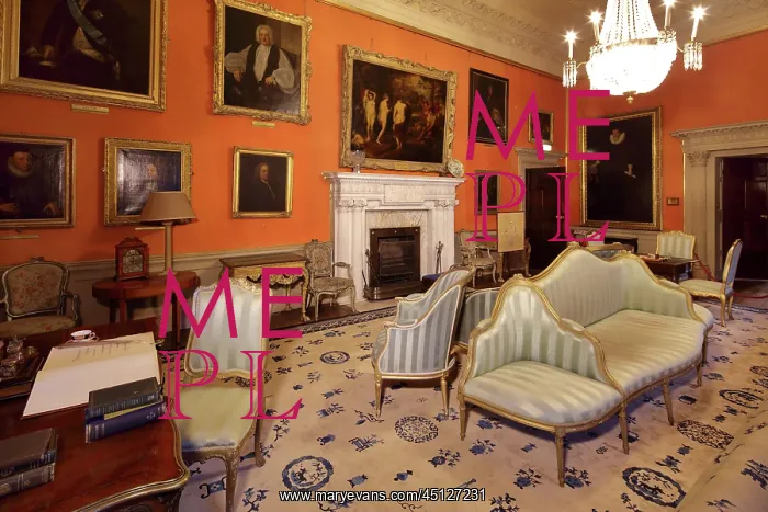 : Grand Salon, Malahide Castle, County Dublin, Ireland : Grand Salon, Malahide Castle, County Dublin, Ireland