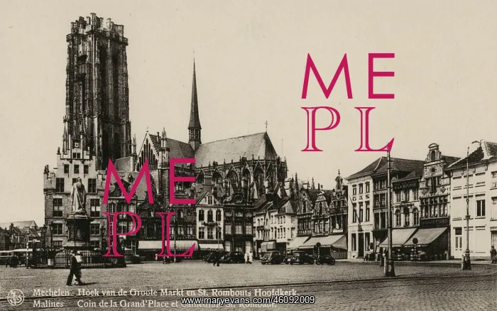 : Grand Square and St Rumbold's Cathedral, Mechelen : Grand Square and St Rumbold's Cathedral, Mechelen