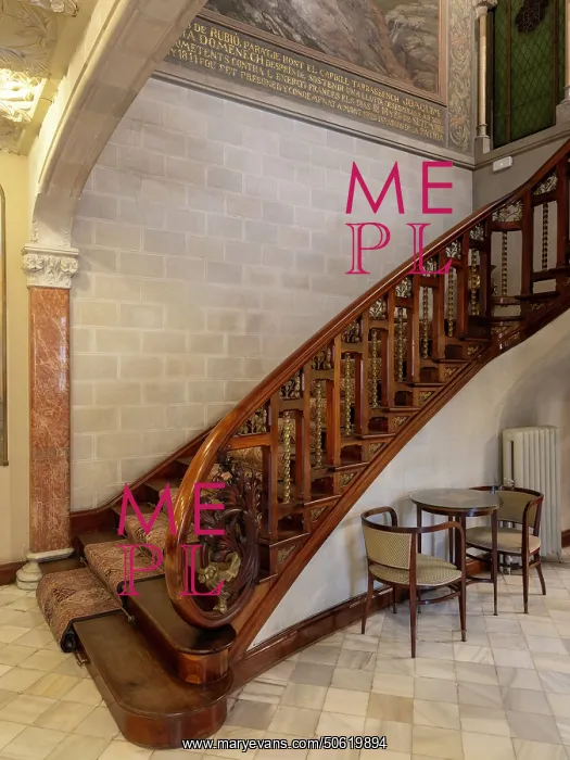 : Grand staircase, Casa Alegre de Sagrera, Terrassa, Catalonia : Grand staircase, Casa Alegre de Sagrera, Terrassa, Catalonia