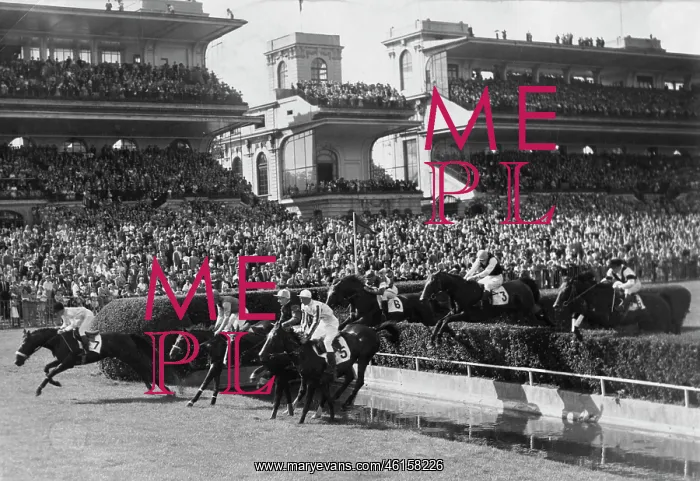 : Grand Steeple chase at Auteuil : Grand Steeple chase at Auteuil