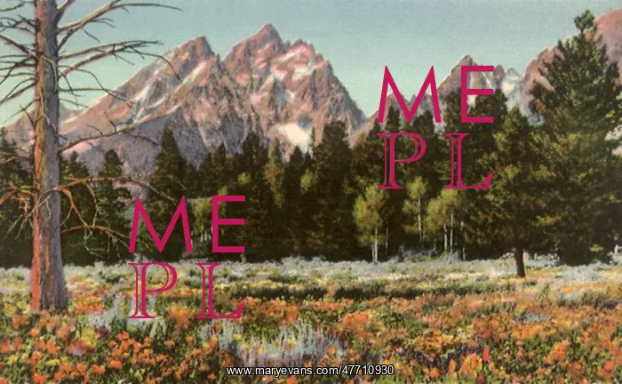  : Grand Teton Park