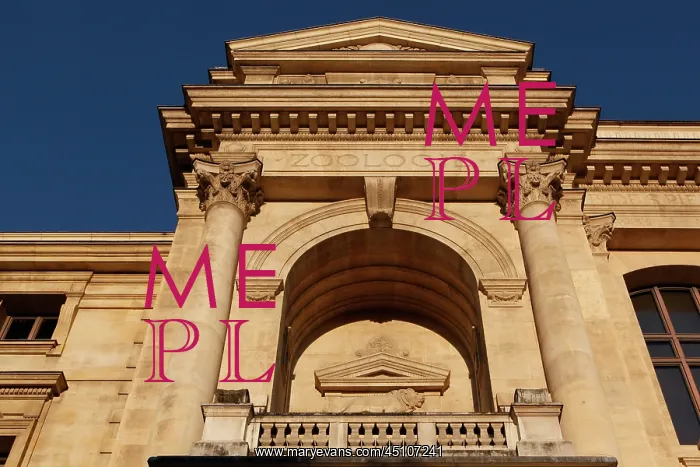 : Grande Galerie d'Evolution : Grande Galerie d'Evolution