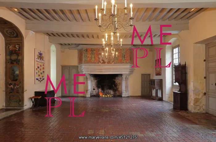 : Grande Salle, Chateau de Chateauneuf, Burgundy, France : Grande Salle, Chateau de Chateauneuf, Burgundy, France