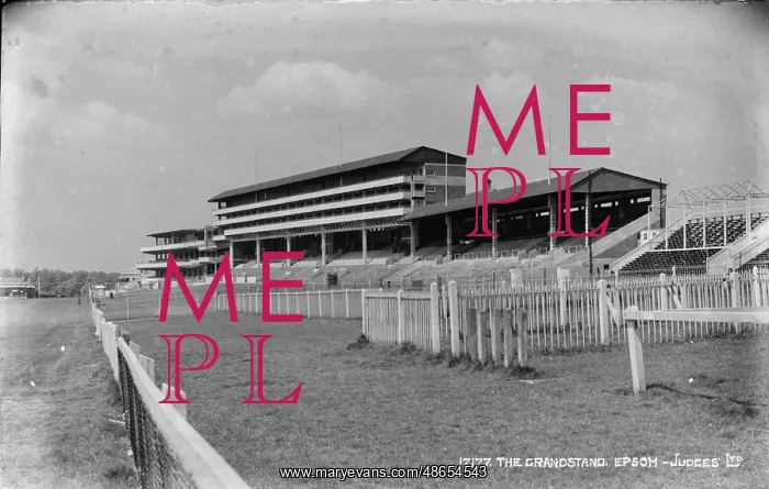 : The Grandstand at Epsom : The Grandstand at Epsom