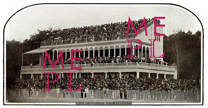  : Grandstand at Goodwood Racecourse