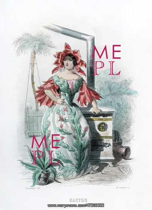  : Grandville Cactus 1847