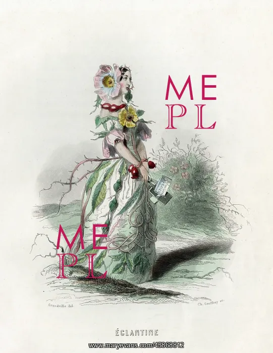 : Grandville Eglantine : Grandville Eglantine