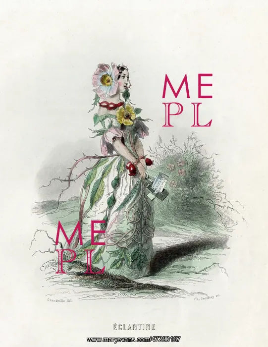 : Grandville Eglantine : Grandville Eglantine