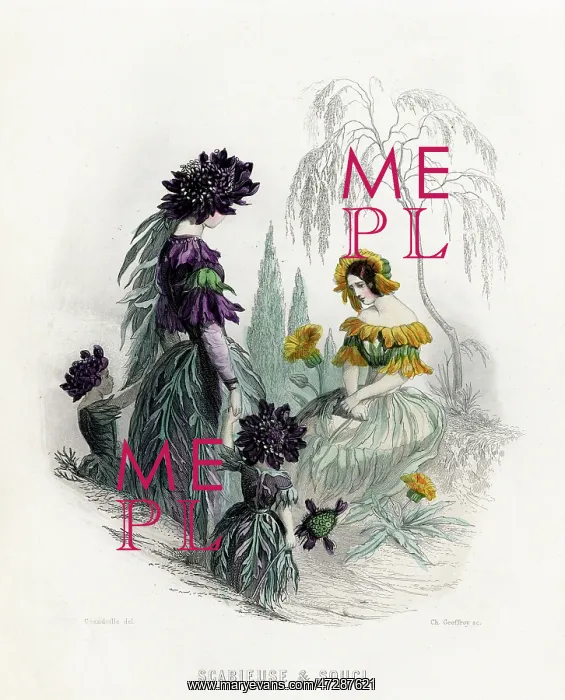 : Grandville Scabious 1847 : Grandville Scabious 1847