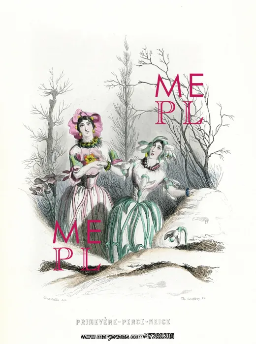 : Grandville Snowdrop 1847 : Grandville Snowdrop 1847