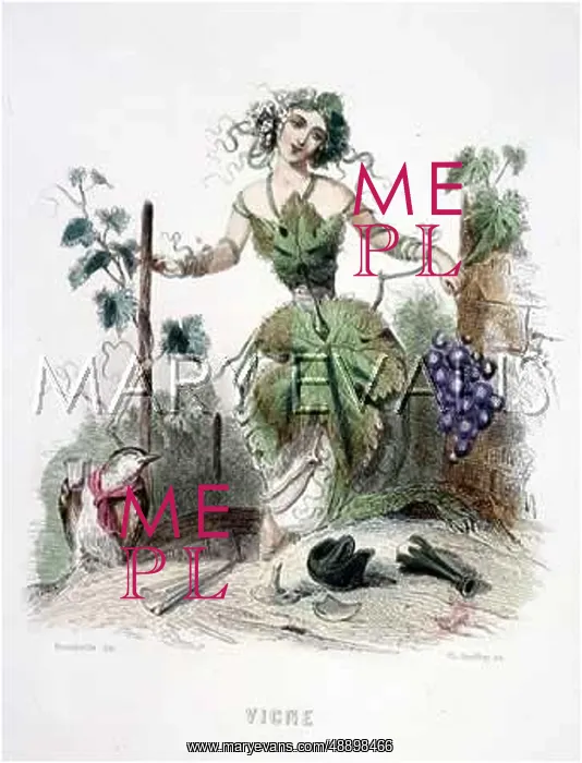  : GRANDVILLE VINE 1847