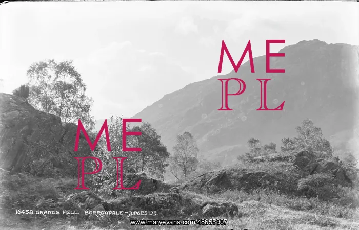 : Grange Fell in Borrowdale : Grange Fell in Borrowdale