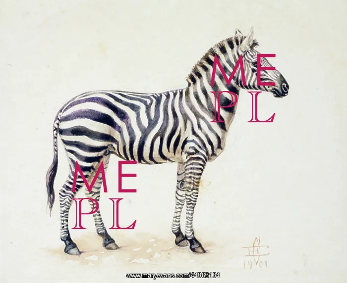 : Grant's Zebra, 1901 : Grant's Zebra, 1901
