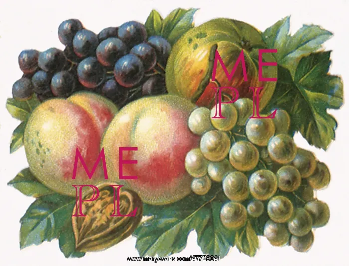  : Grape Apple Walnut