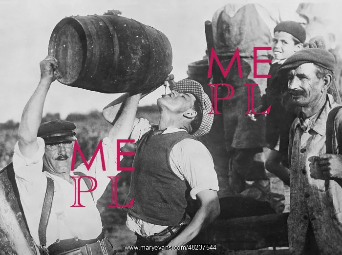 : Grape harvest at Bordeaux : Grape harvest at Bordeaux