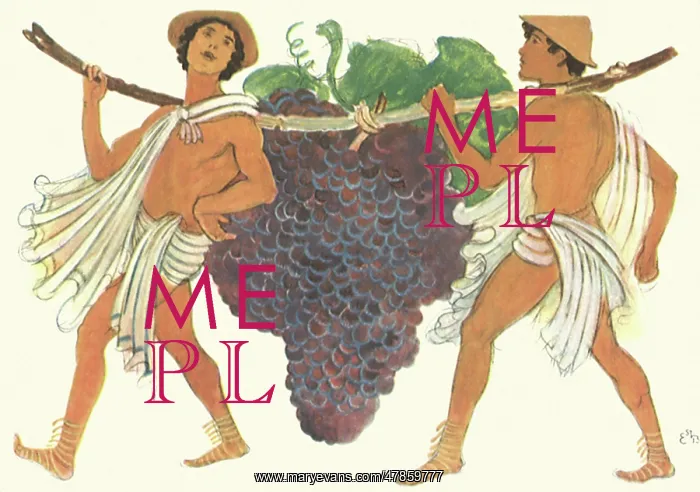  : Grape Porters