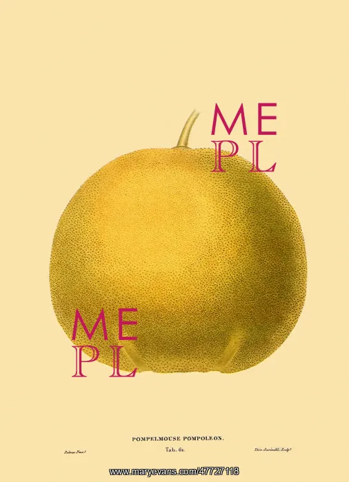  : Grapefruit, Citrus x paradisi