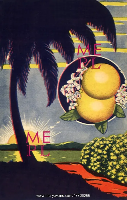  : Grapefruit and Island