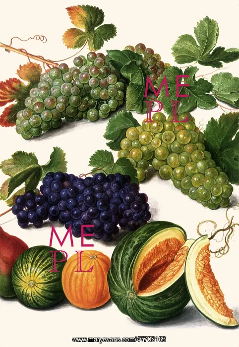  : Grapes and Melons