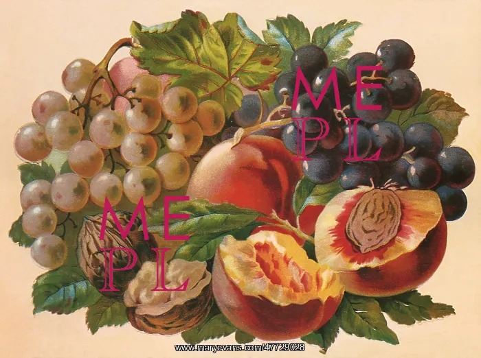  : Grapes, Peaches and Nuts